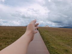 -郭莽湿地