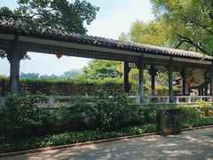 -荔湾湖公园
