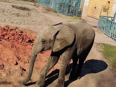 -哈尔滨北方森林动物园