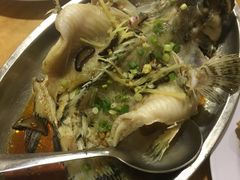 老虎斑-ZF Seafood Restaurant 卓峰海鲜餐