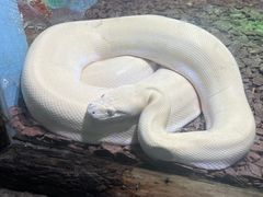 -石家庄市动物园