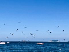 -棒棰岛宾馆景区