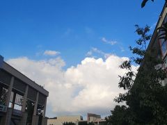 -浙江农林大学(东湖校区)