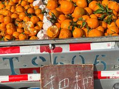 -城南综合水果批发市场(花园路店)