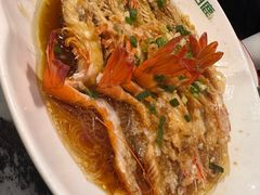 -新白鹿餐厅(百联中环店)