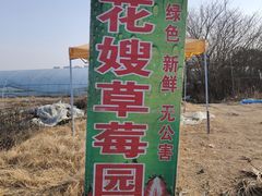 -汉长安城未央宫国家考古遗址公园