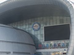 -烟台海昌鲸鲨海洋公园