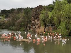 -宁波野生动物园