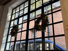 -Apollo·西班牙小酒馆(安福路店)