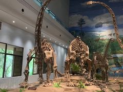 -自贡恐龙博物馆