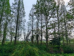 -中国天府农业博览园