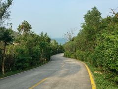 -东澳岛