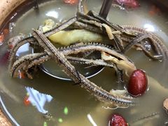 黄鳝骨煲汤-汤氏美食台山水步特色黄鳝饭(龙津东路店)