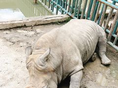 -哈尔滨北方森林动物园