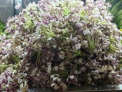 -庄稼汉(阿诗玛店总店)