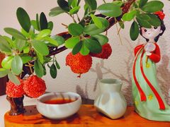 -遇见长安之高山流水(李家村万达店)
