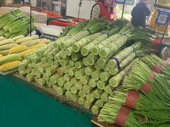 -金宝生活市场(东五环店)