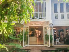 -Fern Forest Cafe