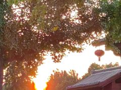 -大雁塔北广场音乐喷泉