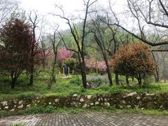 -西安祥峪森林公园