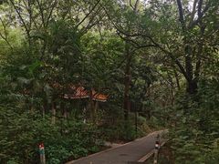 -广州市白云山风景名胜区