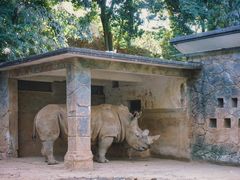 -昆明动物园