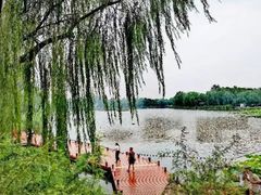 -西海子公园