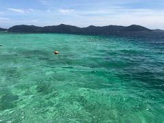 -东姑阿都拉曼海洋公园