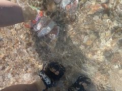 -长岛南北长山旅游景区
