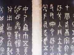 -碑林公园
