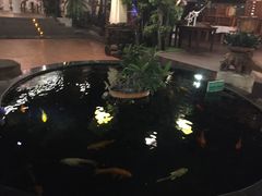 -芽庄珍珠岛游乐园