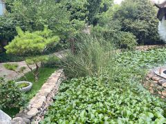 -观唐（国际）度假村温泉