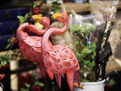 -杂咖zacup(领展中心城店)