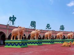 -中国死海旅游度假区