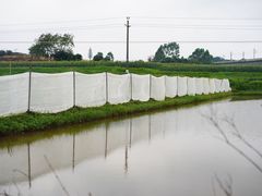 -光明小镇欢乐田园