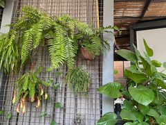 -肴约·花园式餐厅(湖里店)