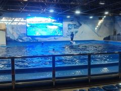 -石林冰雪海洋世界