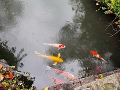 -杭州西湖柳莺里酒店