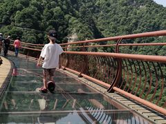 -少华山国家森林公园