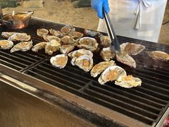 -亚龙湾希尔顿自助餐厅·海鲜·烧烤·沙滩BBQ·现场乐队