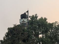 -枫香湖儿童公园