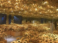 -南昌梵高星空艺术馆