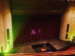 iphone_upload_pic-天桥杂技剧场