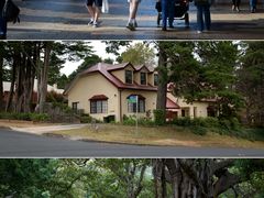 -悉尼歌剧院