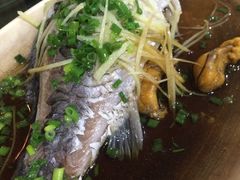 -区海鸡场饭店(石壁店)