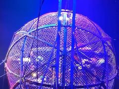 -广州长隆国际大马戏