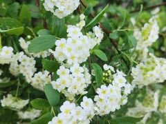 -玄武湖景区-情侣园游乐场