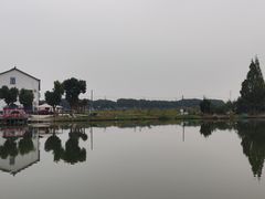 -水岸居湖景农家乐·阳澄湖大闸蟹
