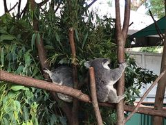 -可伦宾野生动物保护区