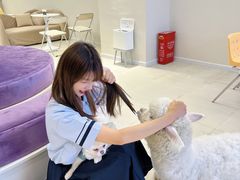 -怪兽屋·羊驼·猫咖·狗咖(俊华广场店)